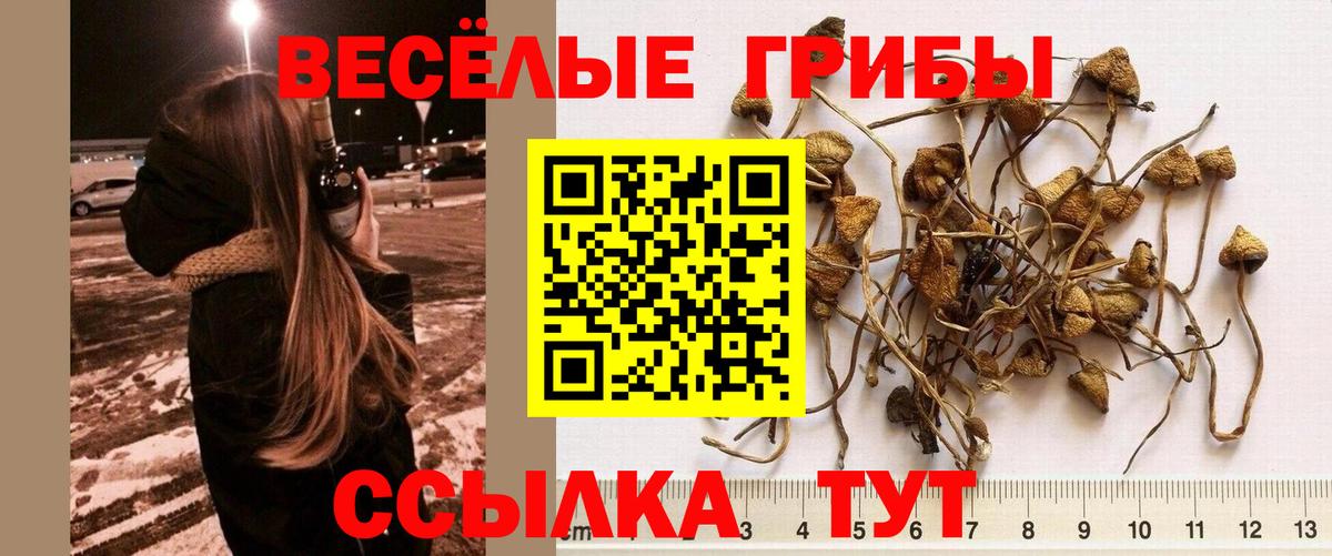 Псилоцибиновые грибы мухоморы Сегежа