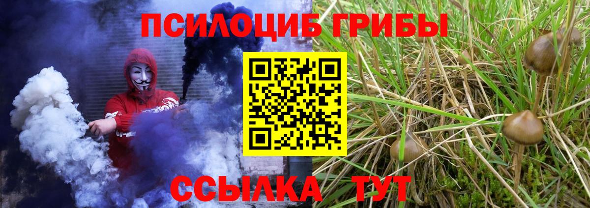 Сегежа  Псилоцибиновые грибы мухоморы  Вход с VPN 